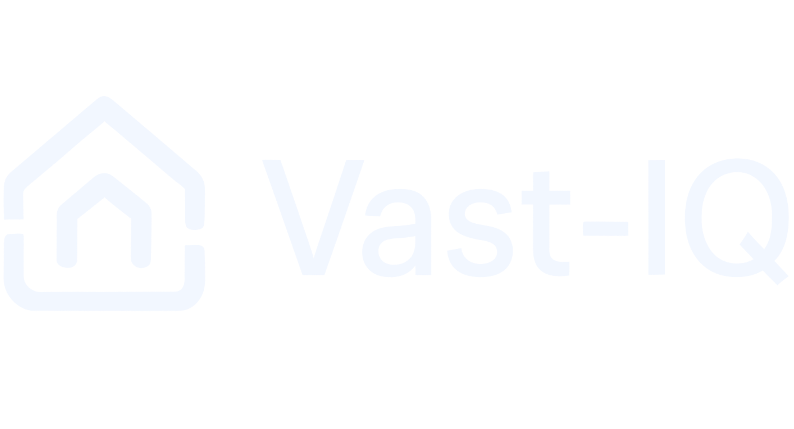 Vast-Iq Logo